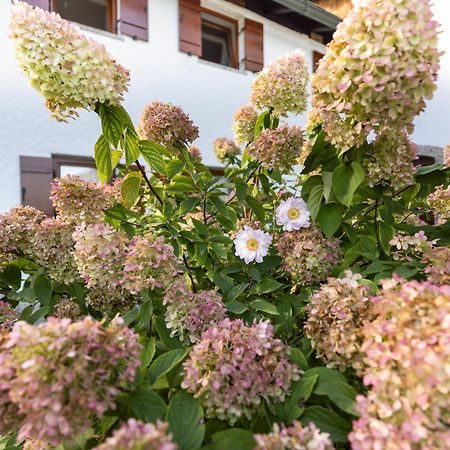 Ferienwohnung Alpenglueck Marktschellenberg Exterior foto
