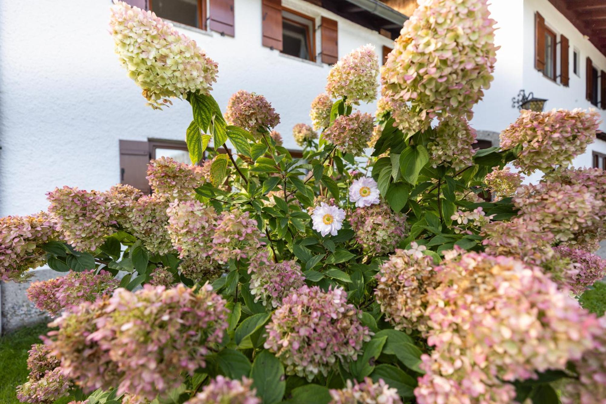 Ferienwohnung Alpenglueck Marktschellenberg Exterior foto